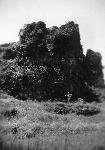 Okinawa History Photo